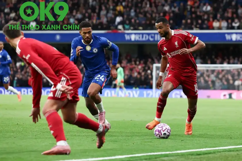 Gakpo thừa nhận khó nuốt trôi khi Liverpool thua phút cuối (Ảnh: LFC Transfer Room). Gakpo thừa nhận khó nuốt trôi khi Liverpool thua phút cuối (Ảnh: LFC Transfer Room).